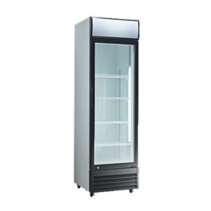 Exquisite DC400P Single Door Display Fridge – 400 Litre